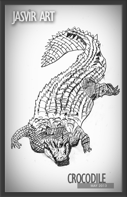Alligator Crocodile Realistic Drawing Sketch Vector Illustration Stock  Vector by ©grop 634970510